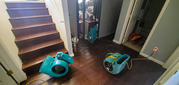 Best Water damage restoration experts  in Riverton, WY