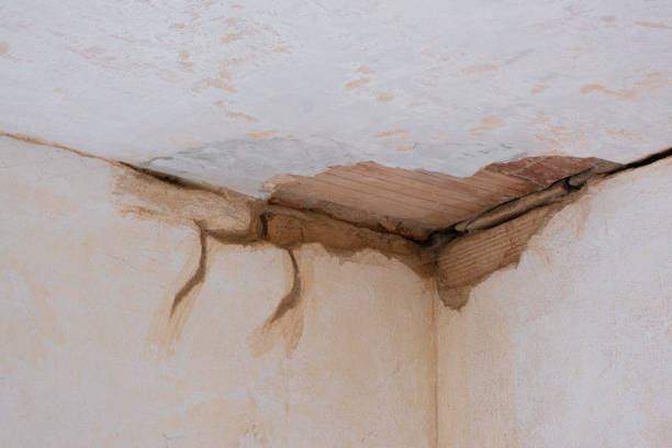Best 24-hour water damage restoration  in Riverton, WY
