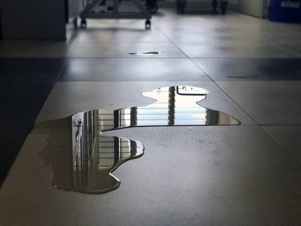 Best Water damage restoration specialists  in Riverton, WY